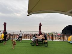 -碧海金沙