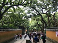 -普陀山风景名胜区-法雨禅寺