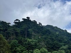 -泰山风景名胜区