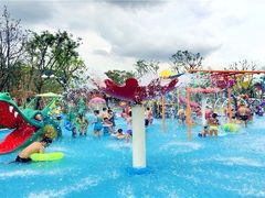 -苏州乐园森林水世界