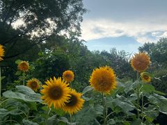 -国家植物园南园