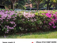 -四川大学(望江校区)