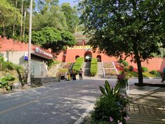 -东莞市大岭山森林公园