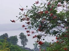 -古宇湖风景名胜区