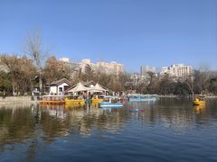 -莲湖公园