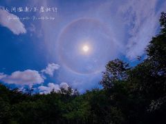 -西双版纳原始森林公园