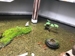 -几荷·恰似故人来(秀水广场店)