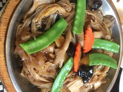 -新兴·金羊座·粤菜点心(乐峰店)