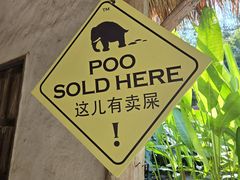 -大象粑粑造纸公园