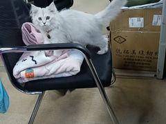 -新疆烧烤王(广灵店)
