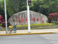 -南翔镇银翔湖公园