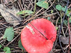 -北京宽沟会议中心