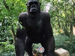 -杭州少年儿童公园