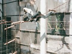 -昆明动物园