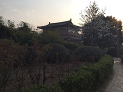 -西安青龙寺遗址景区