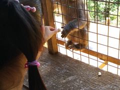 -岚山猴子公园