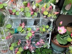 -盒马鲜生(顺义店)