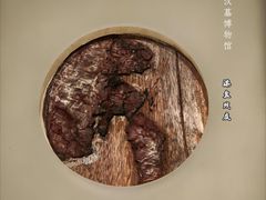 -北京大葆台遗址博物馆