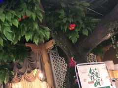 -蕃茄述·好汤自然来(江汉路店)