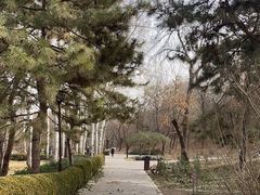 -元大都城垣遗址公园