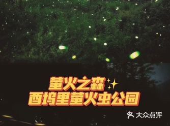 江浙沪旅游 | 去千岛湖看萤火虫️