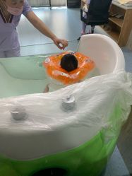 -壹佳月子中心(大连店)