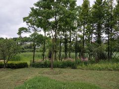 -贵阳市花溪国家城市湿地公园