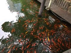 -华雅花园大酒店