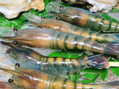 -白仁仔· 活烤海鲜 宵夜(豫园店)