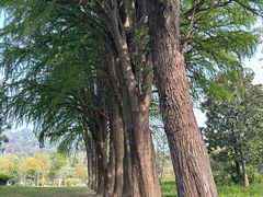 -狼山风景名胜区