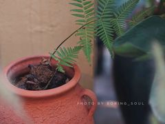 -邊渡咖啡
