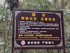 -苏州上方山国家森林公园
