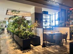 -北京东三环希尔顿逸林酒店