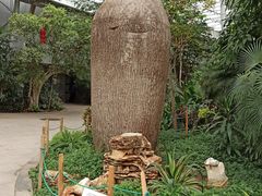 -北京植物园-展览温室