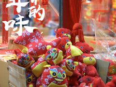 -溪岸路花鸟市场