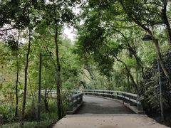 -西湖风景区-江洋畈生态公园