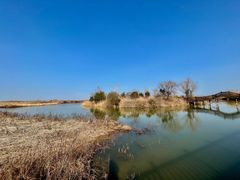 -泗洪洪泽湖湿地景区