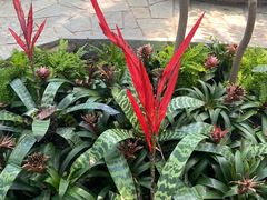 -北京植物园-展览温室