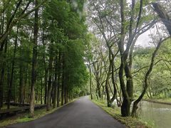 -五泄景区