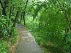 -上海佘山国家森林公园西佘山园