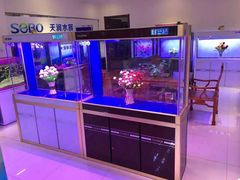 -中环花鸟鱼虫市场
