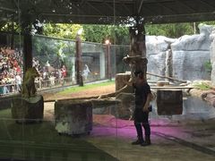 -清迈夜间动物园