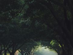 -四川大学(望江校区)
