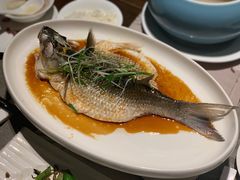 -采悦轩中餐厅·粤菜·海南菜(神州半岛喜来登度假酒店)