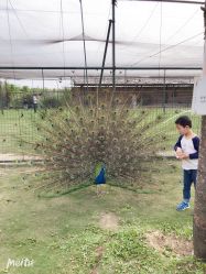 -水八仙生态园