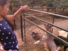 -意大利农场度假村