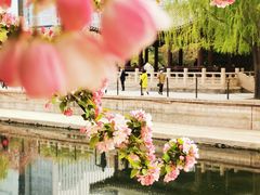 -海棠花溪(元大都城垣遗址公园)