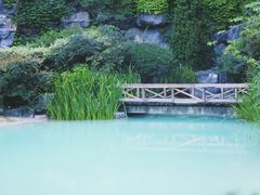 -吴淞炮台湾湿地森林公园烧烤区