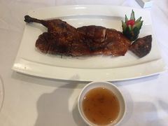 -沪碟·精菜坊(闵行店)
