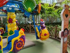 -南宫五洲植物乐园